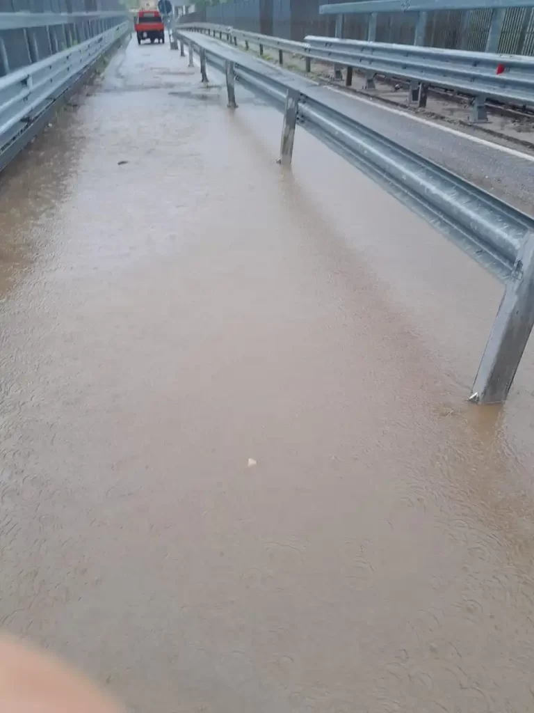 WhatsApp Image 2024 09 13 at 17.56.07 1