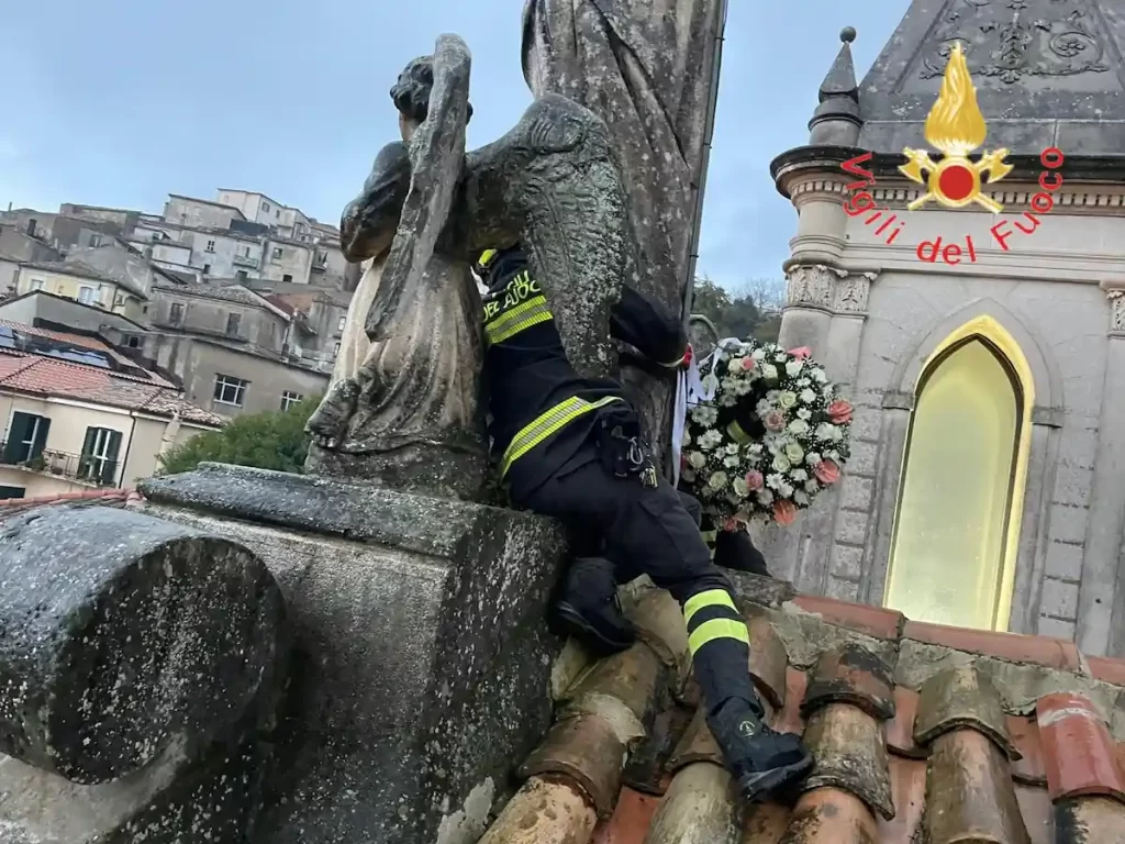 WhatsApp Image Dec 7 2024 4