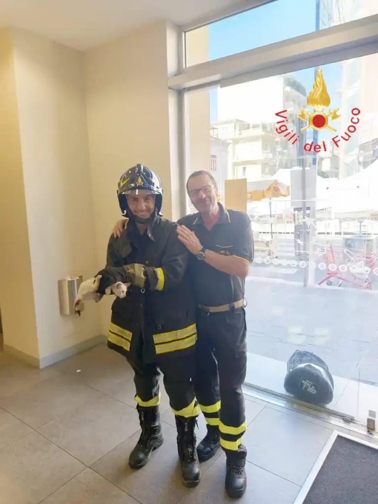 WhatsApp Image 2025 06 29 at 10.12.54