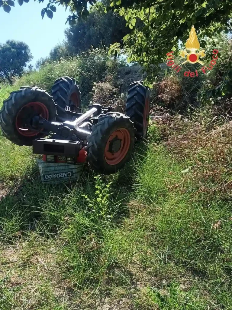 WhatsApp Image 2025 06 29 at 16.31.01