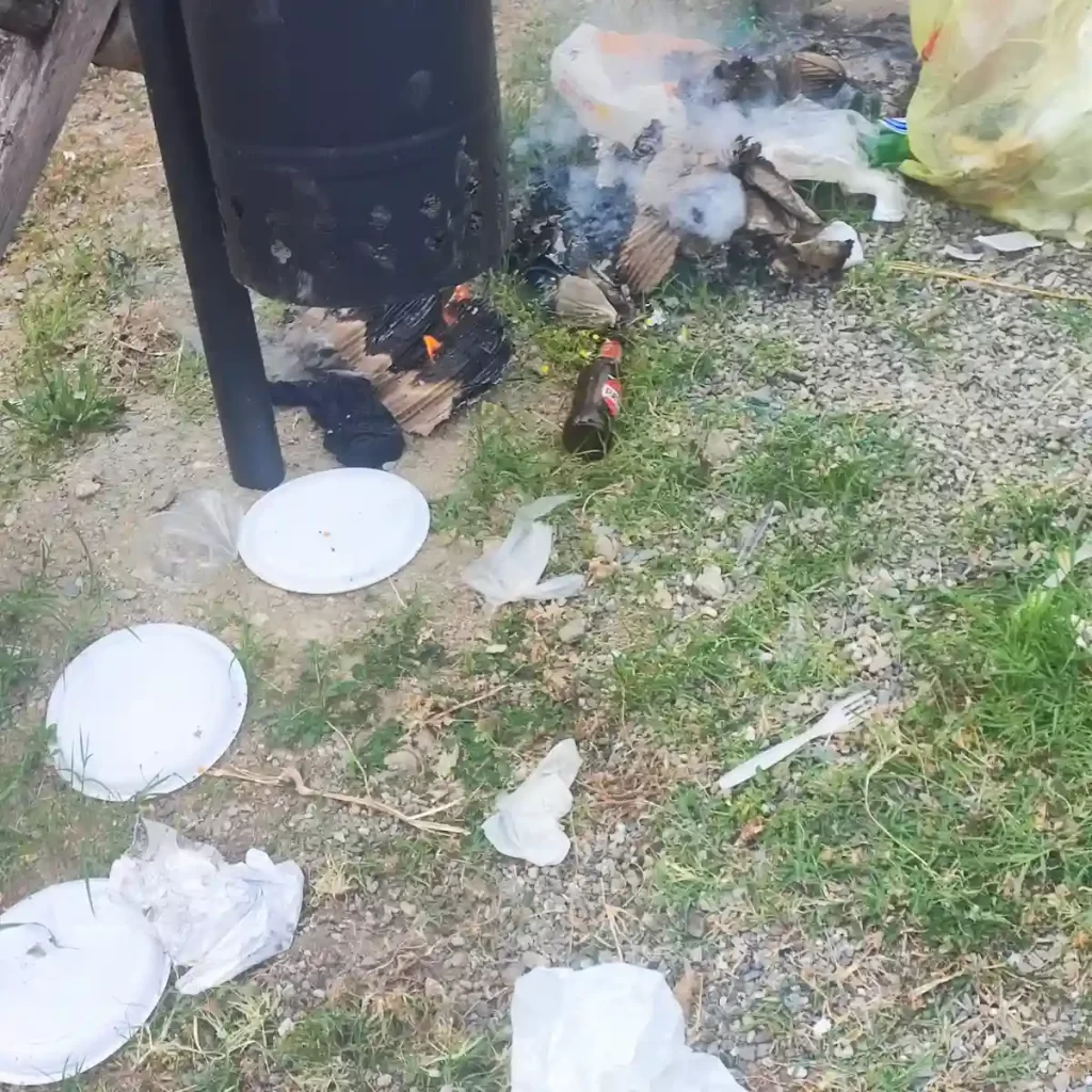 cassonetti incendio siano 2