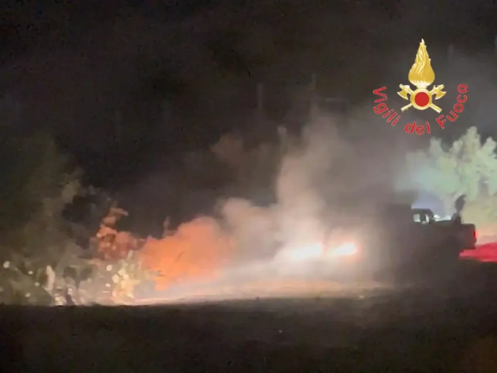 WhatsApp Image 2025 09 05 at 11.23.02