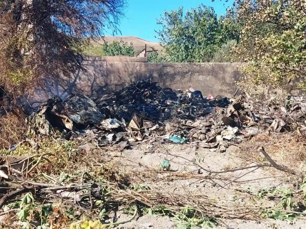 WhatsApp Image 2025 10 08 at 11.55.58 1