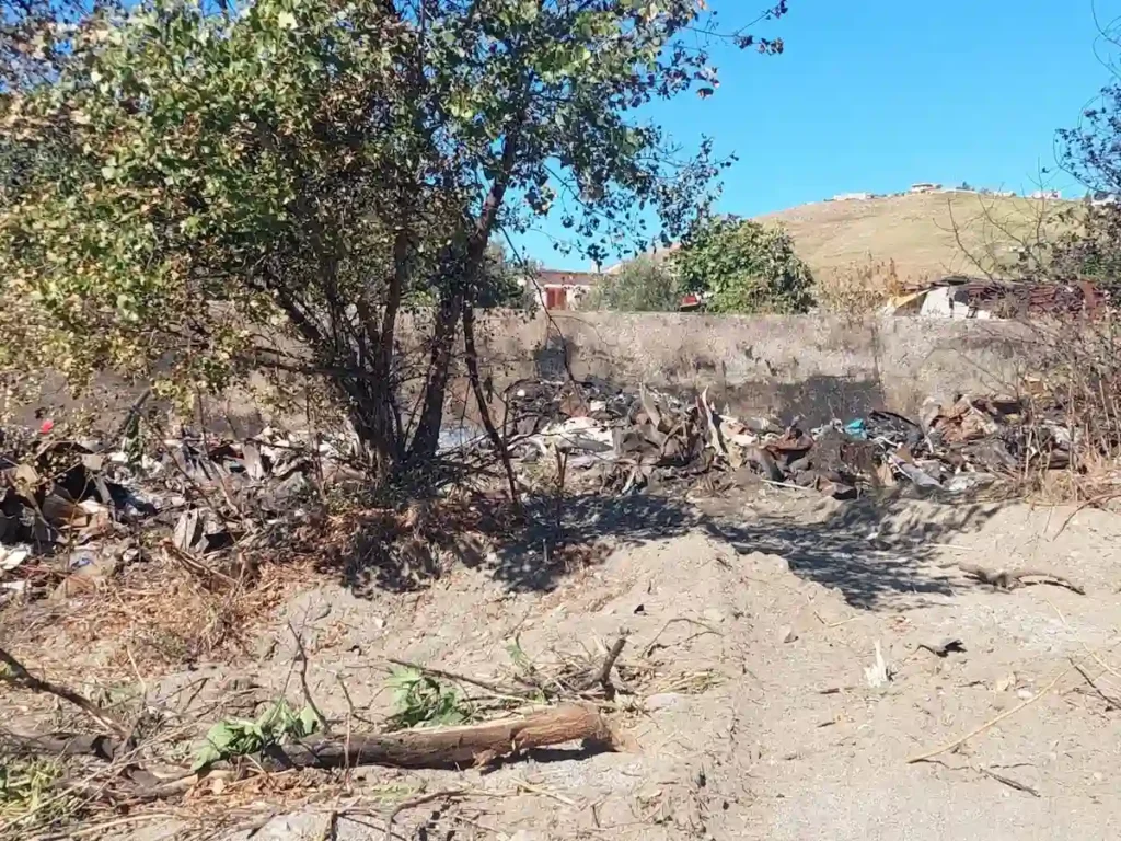 WhatsApp Image 2025 10 08 at 11.55.58 2