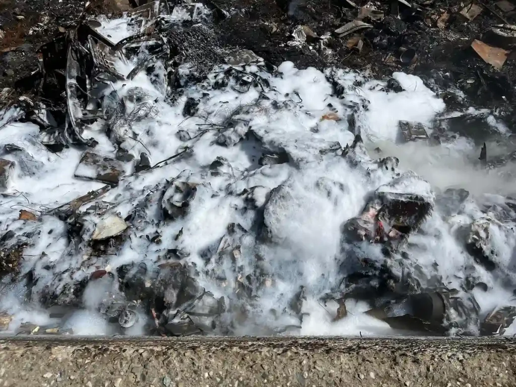 WhatsApp Image 2025 10 08 at 11.56.23 1