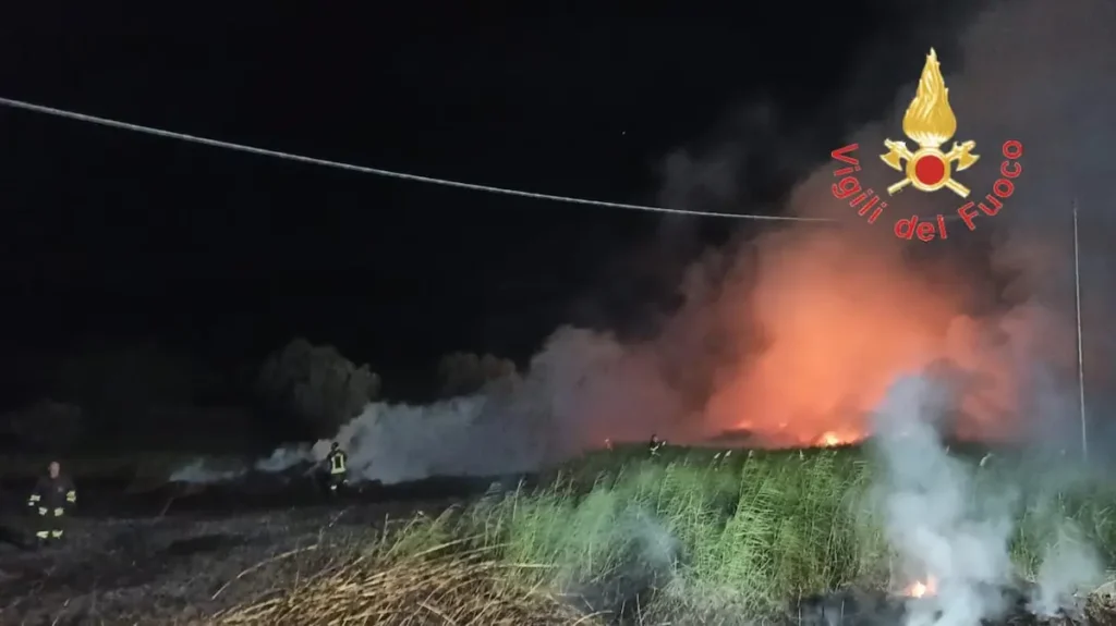 WhatsApp Image 2025 10 24 at 22.07.12