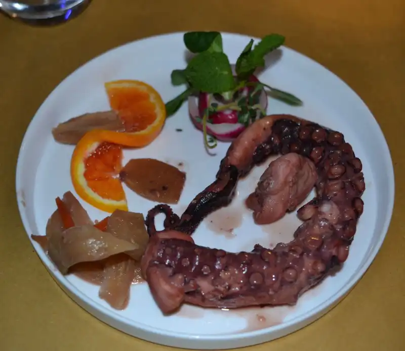 WhatsApp Image 2025 11 26 at 19.54.30