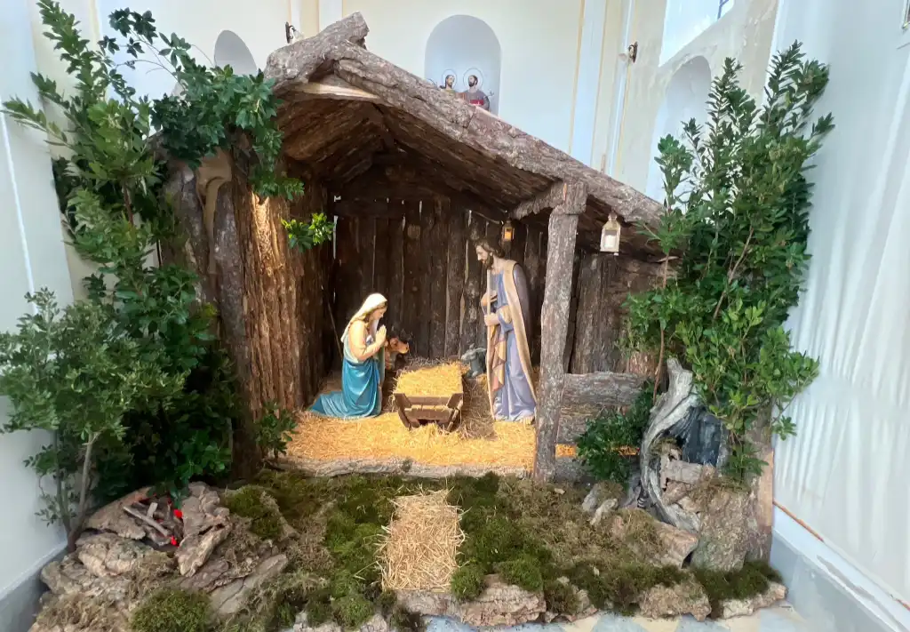 WhatsApp Image 2025 12 14 at 18.08.54