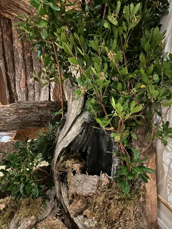 WhatsApp Image 2025 12 14 at 18.08.55 1