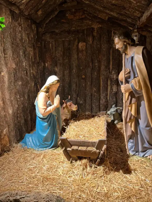 WhatsApp Image 2025 12 14 at 18.08.57