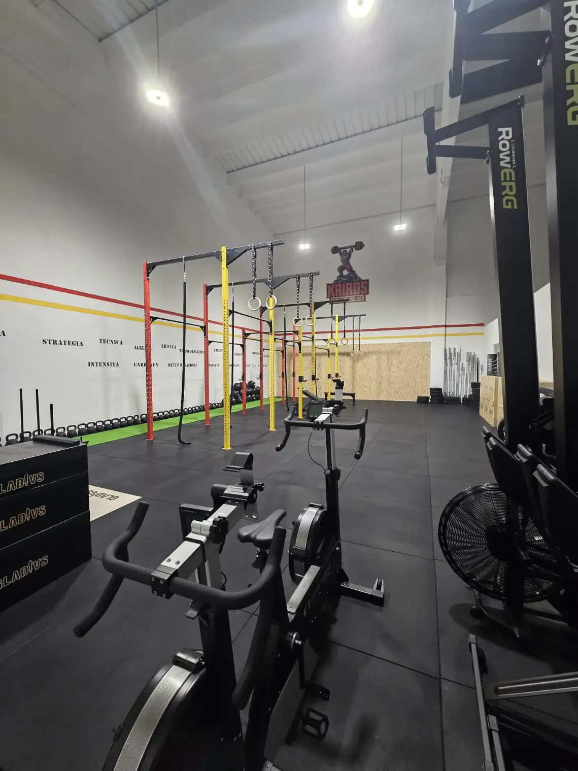 WhatsApp Image 2026 02 10 at 07.56.25 4