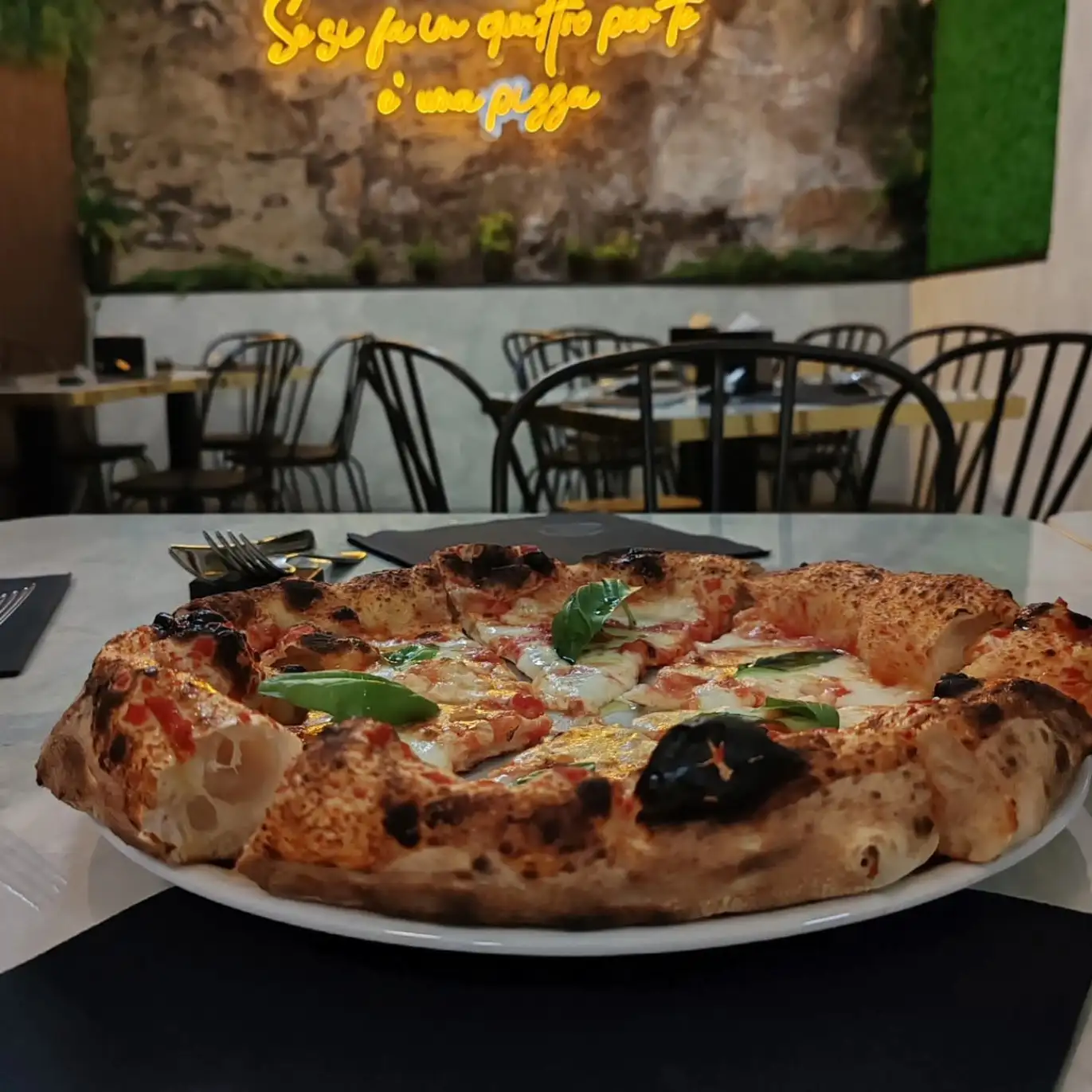 WhatsApp Image 2026 02 26 at 11.58.28 3