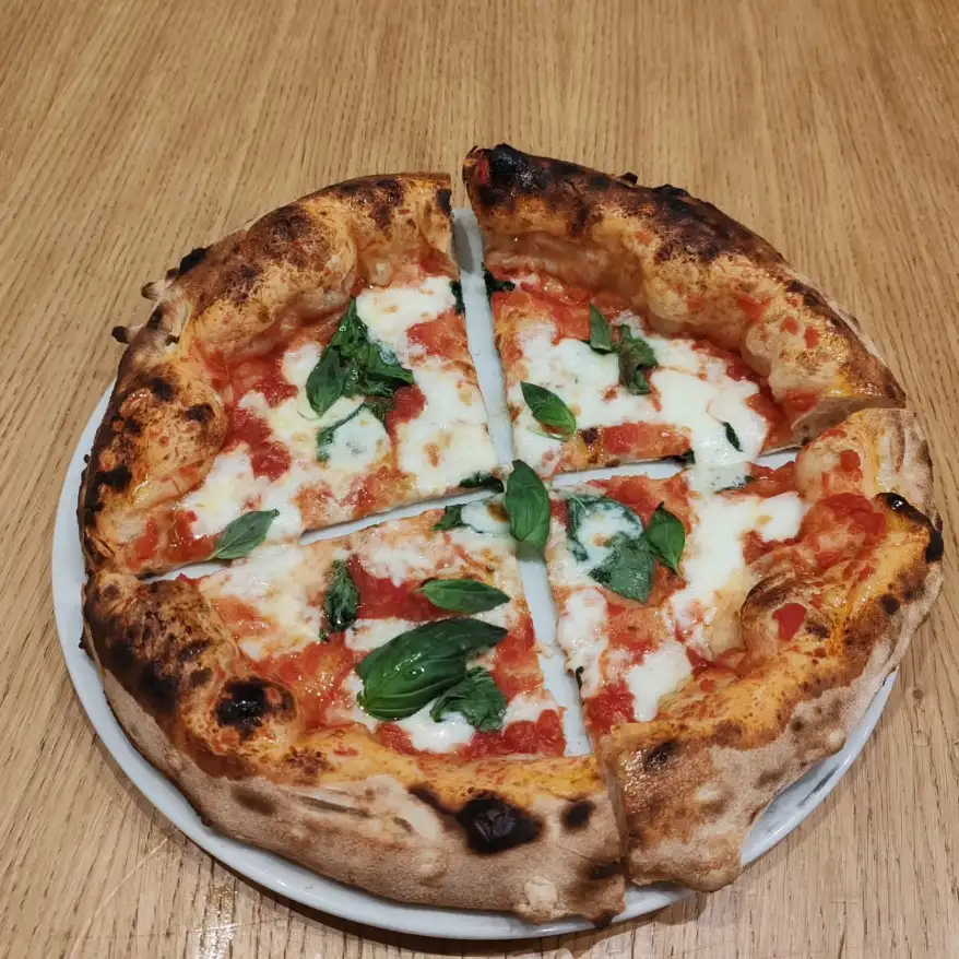 WhatsApp Image 2026 02 26 at 11.58.29 5